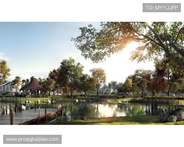 吉隆坡云顶集团:投资策略与未来发展规划全面解析